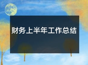 财务上半年工作总结