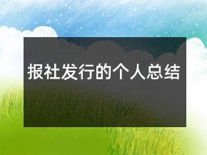 报社发行的个人总结
