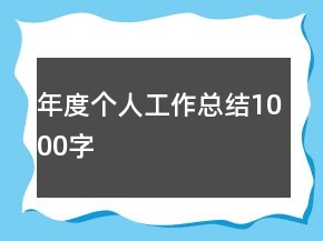 年度个人工作总结1000字
