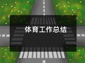 体育工作总结