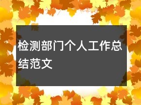 检测部门个人工作总结范文