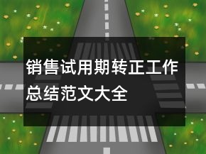 销售试用期转正工作总结范文大全