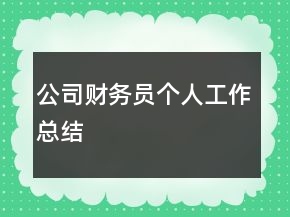 公司财务员个人工作总结