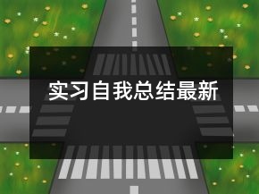 实习自我总结最新
