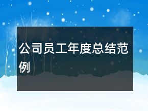 公司员工年度总结范例