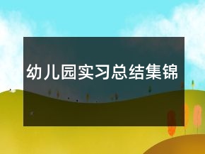 幼儿园实习总结集锦