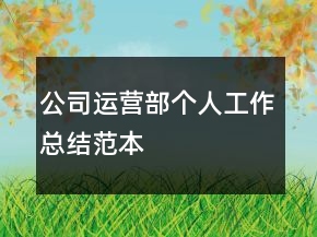公司运营部个人工作总结范本