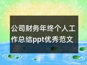 公司财务年终个人工作总结ppt优秀范文