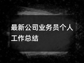 最新公司业务员个人工作总结