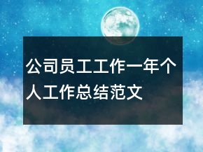 公司员工工作一年个人工作总结范文