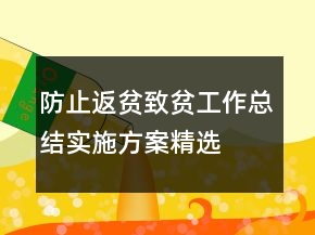 防止返贫致贫工作总结实施方案精选