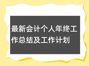 最新会计个人年终工作总结及工作计划