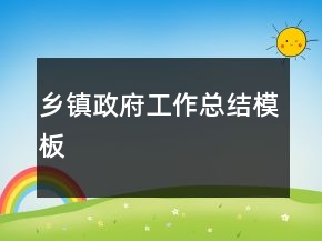 乡镇政府工作总结模板