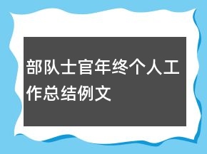 部队士官年终个人工作总结例文