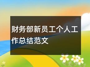 财务部新员工个人工作总结范文