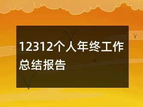 12312个人年终工作总结报告