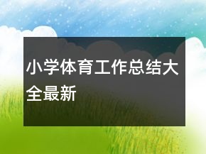 小学体育工作总结大全最新