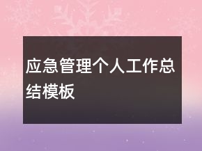 应急管理个人工作总结模板