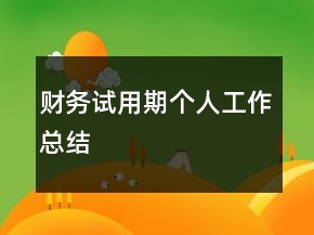 财务试用期个人工作总结