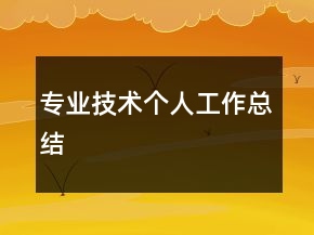 专业技术个人工作总结
