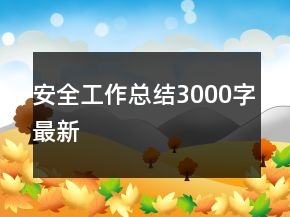 安全工作总结3000字最新