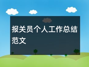 报关员个人工作总结范文