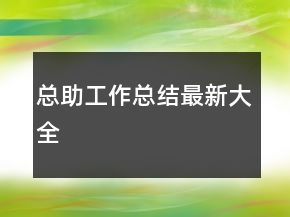 总助工作总结最新大全