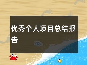 优秀个人项目总结报告