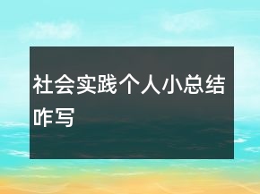 社会实践个人小总结咋写