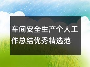 车间安全生产个人工作总结优秀精选范文