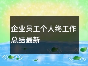 企业员工个人终工作总结最新