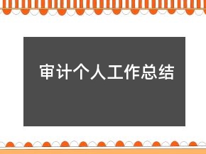 审计个人工作总结