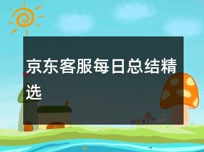 京东客服每日总结精选
