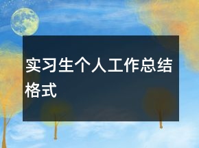 实习生个人工作总结格式