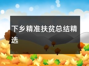 下乡精准扶贫总结精选