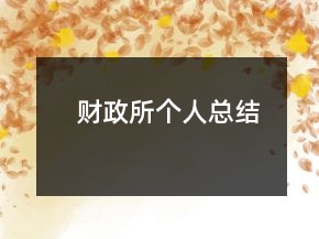 财政所个人总结