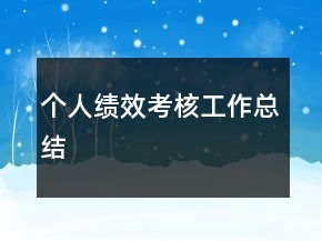 个人绩效考核工作总结