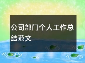 公司部门个人工作总结范文
