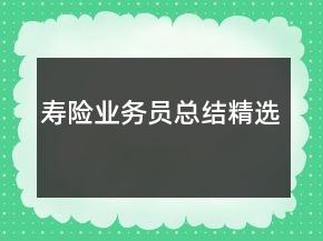 寿险业务员总结精选
