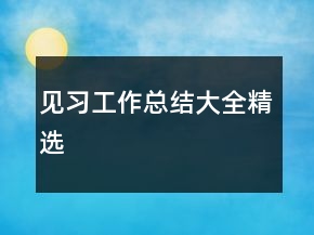 见习工作总结大全精选