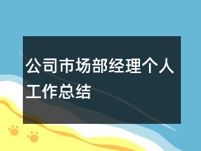 公司市场部经理个人工作总结