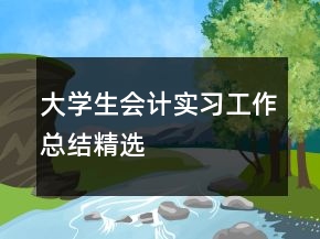 大学生会计实习工作总结精选