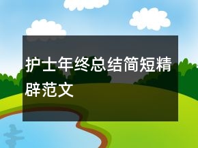 护士年终总结简短精辟范文