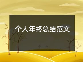 个人年终总结范文