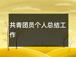 共青团员个人总结工作