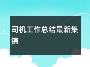 司机工作总结最新集锦