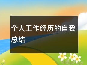 个人工作经历的自我总结