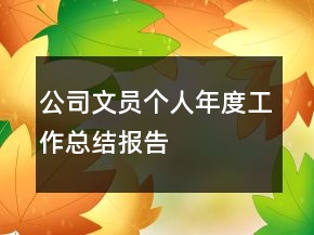 公司文员个人年度工作总结报告