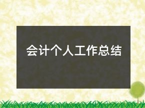 会计个人工作总结