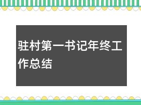驻村第一书记年终工作总结